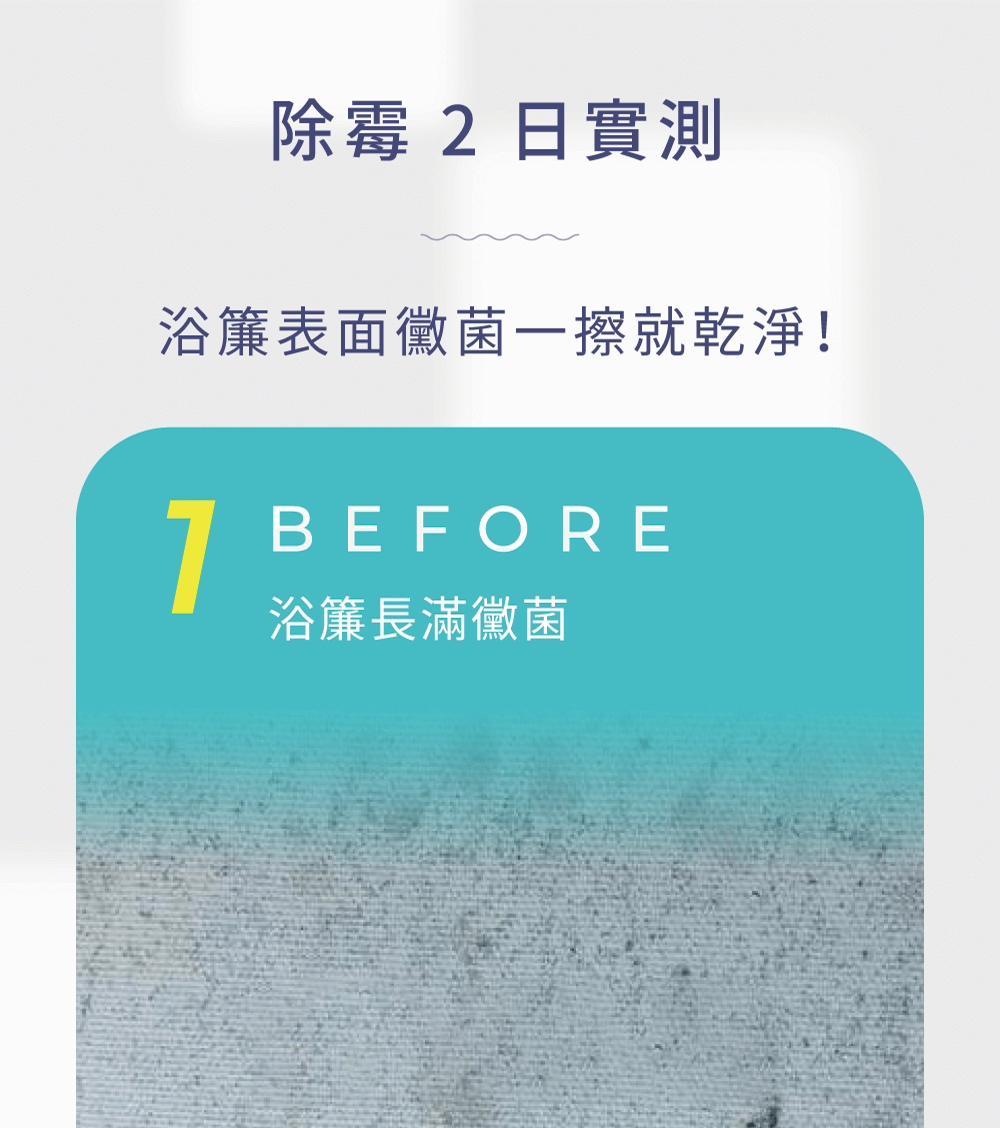 除黴實測看得見 除黴實測