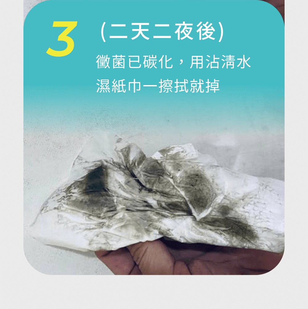 黴菌碳化,一擦就掉 黴菌碳化,一擦就掉